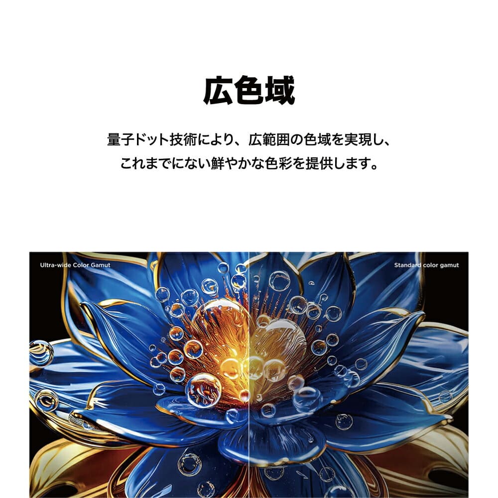 TCL S5Kシリーズ 32型 量子ドット TV / CSチューナー内蔵 / Google TV搭載 / YouTube / ネットフリックス / Wi-Fi内蔵 / クロームキャスト機能内蔵 32S5K