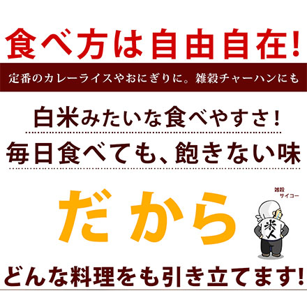 雑穀米本舗 国産 胡麻香る十穀米 2.7kg(450g×6袋)