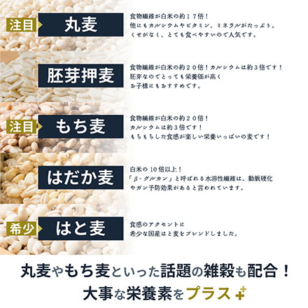雑穀米本舗 国産 麦5種ブレンド(丸麦/押麦/はだか麦/もち麦/はと麦) 1.8kg(450g×4袋)