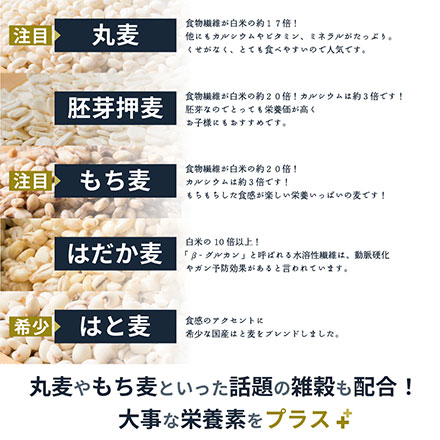 雑穀米本舗 国産 麦5種ブレンド(丸麦/押麦/はだか麦/もち麦/はと麦) 4.5kg(450g×10袋)