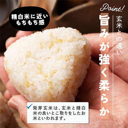 雑穀米本舗 国産 発芽玄米 900g(450g×2袋)