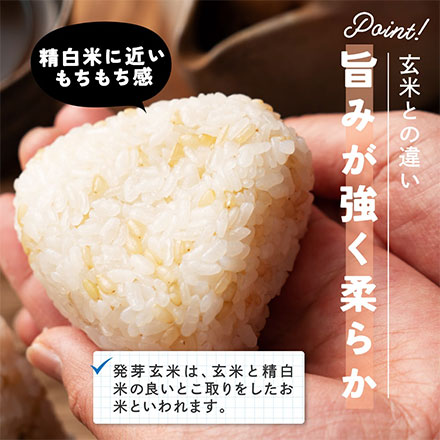 雑穀米本舗 国産 発芽玄米 9kg(450g×20袋)