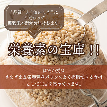 雑穀米本舗 国産 はだか麦 900g(450g×2袋)