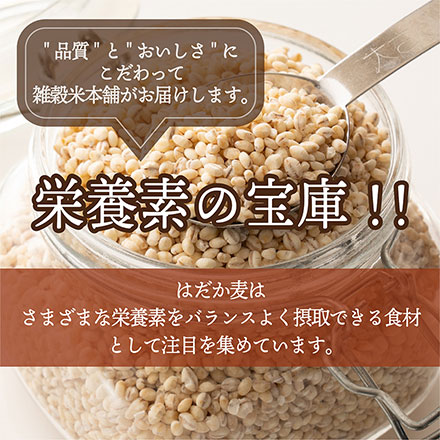 雑穀米本舗 国産 はだか麦 2.7kg(450g×6袋)