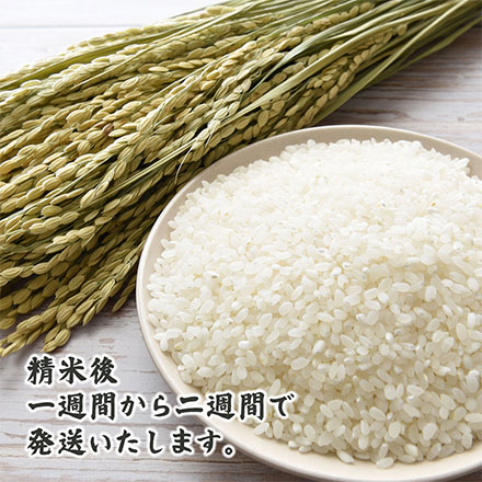 【白米】俵米 10kg(5kg×2袋)