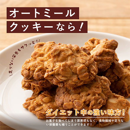 オートミールクッキー(プレーン) 【100g×1袋】※割れ欠けあり