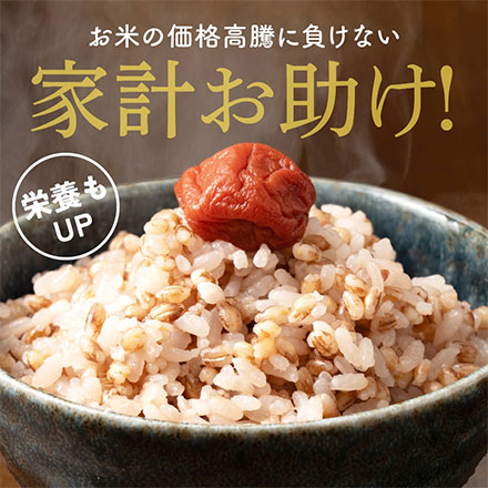 雑穀米本舗 国産 家計お助け米 もち麦ミックス 3kg(1kg×3袋)