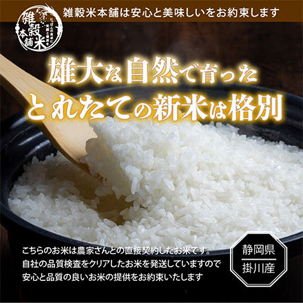 新米 【白米】39穀米ブレンド450gおまけ付き 静岡県掛川市上垂木産 こしひかり 5kg 令和6年産