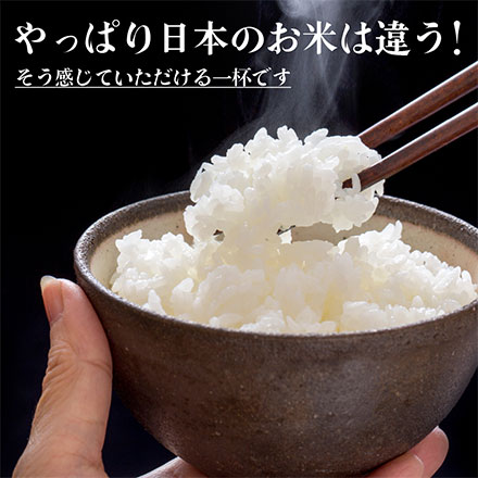 新米 三重県産 コシヒカリ 10kg ( 5kg×2 ) 令和7年産