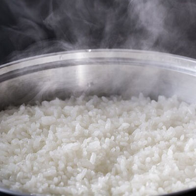 HALムスイ 無水鍋24cmしゃもじ付き 600385 シルバー