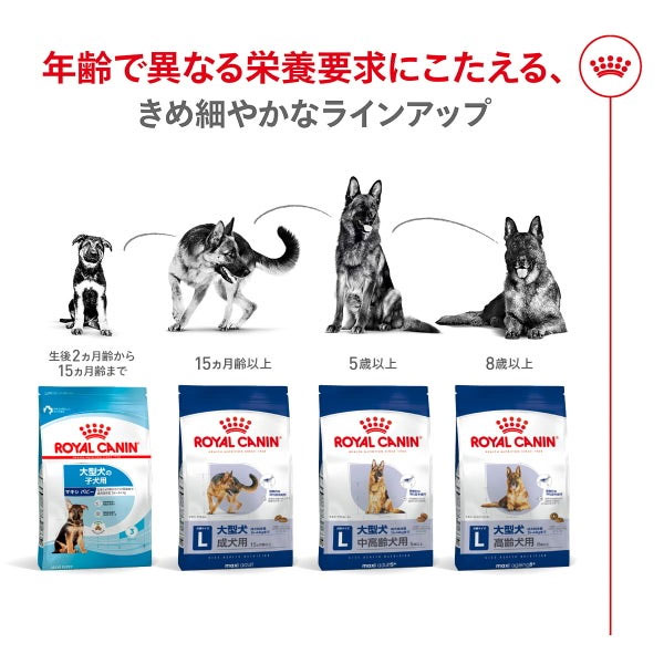ロイヤルカナン マキシ アダルト（大型犬専用フード 成犬用） 15kg