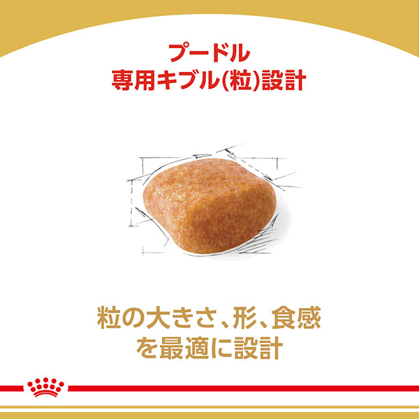 ロイヤルカナン プードル 専用フード 成犬用 1.5kg