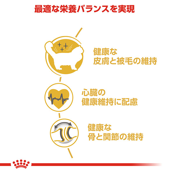 ロイヤルカナン ラグドール専用フード 成猫用 2kg