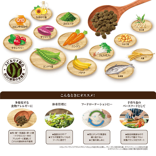 セレクトバランス グリーンレシピ ホワイトフィッシュ 小粒 アダルト 1才以上の成犬用 2.4kg