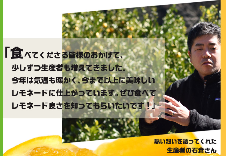 【2/23から出荷開始】 静岡県産柑橘 「レモネード」 2S-Lサイズ 約2.5kg 簡易箱 ※常温