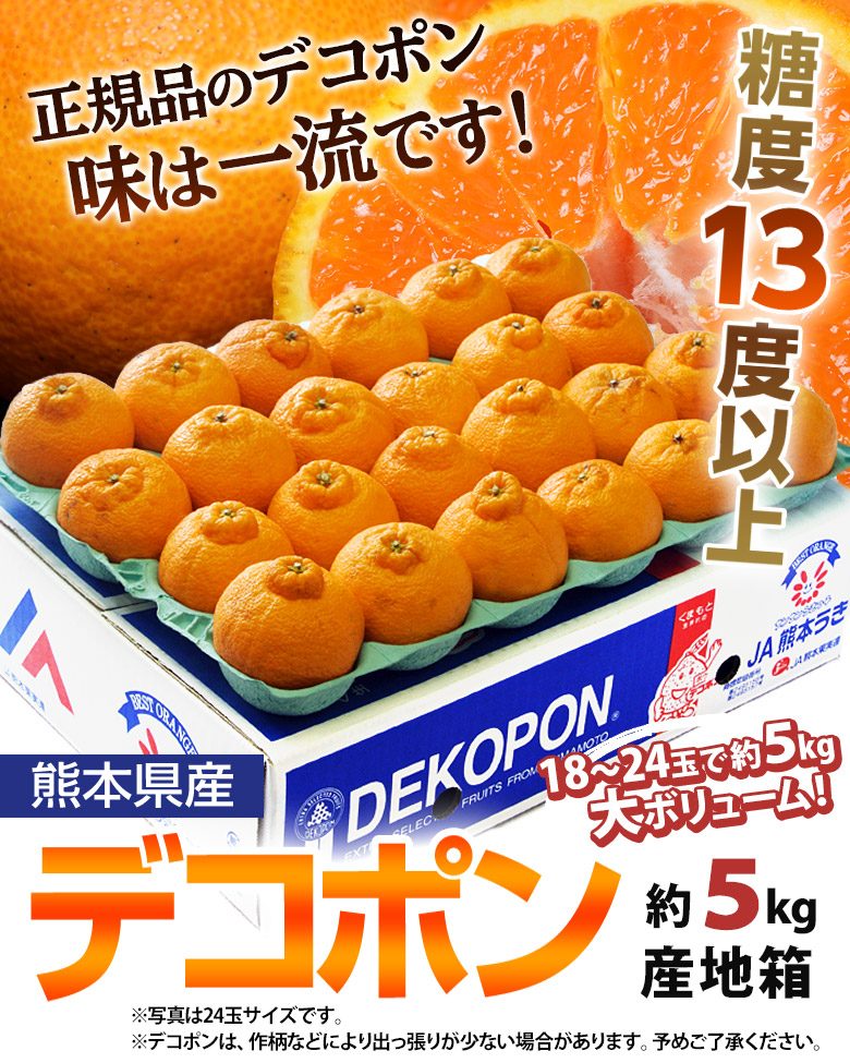 ご自宅用 デコポン 熊本県産 無印 約5kg（18-24玉） 産地箱 ※常温