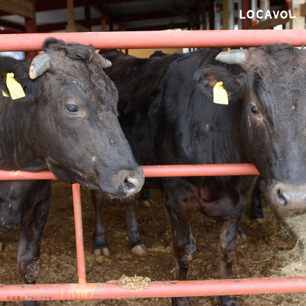 神戸ビーフ　モモステーキ（モモ）150ｇ×2 兵庫県 近畿地方 美食うまいもん市場