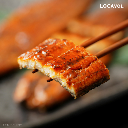 うなぎ蒲焼（長焼） 静岡県 中部地方 美食うまいもん市場