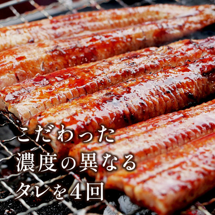 蒲焼うなぎ カット済 ※蒲焼（80g）＋ 鹿児島和牛・A5赤身 ミニステーキ 160g （約80g×2枚）