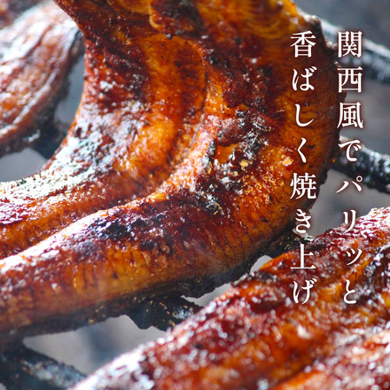 【食べ比べ】フィレ鰻（1尾） 蒲焼3＋白焼3 特製うなぎのたれ＆京都一休堂の山椒付き