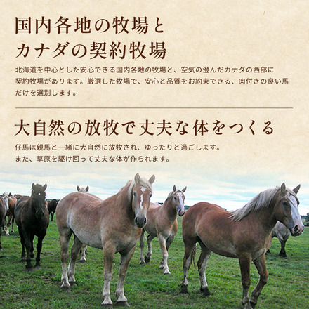 馬刺しと焼酎の晩酌セット【松】