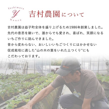 特選季節のフルーツ│とちあいか2パック300g