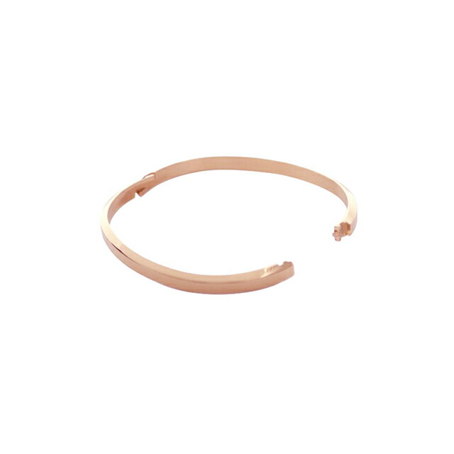ダニエルウェリントン DANIEL WELLINGTON CLASSIC BANGLE バングル DW00401651 ユニセックス ブランド