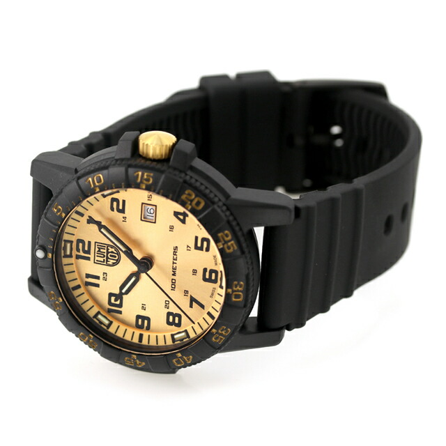 ルミノックス LEATHERBACK SEA TURTLE GIANT 0320 SERIES 腕時計 メンズ LUMINOX 0325.GP アナログ ゴールド ブラック 黒 スイス製 ブランド おしゃれ 防水 文字盤 大きい プレゼント 男性 実用的