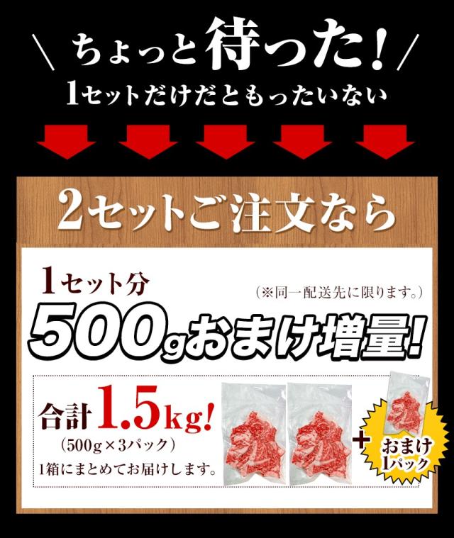 黒毛和牛 切り落とし 500g 九州産 国産 牛肉 こま切れ メガ盛り 牛丼用 ウデ モモ 【3-7営業日以内に発送予定（土日祝除く）】