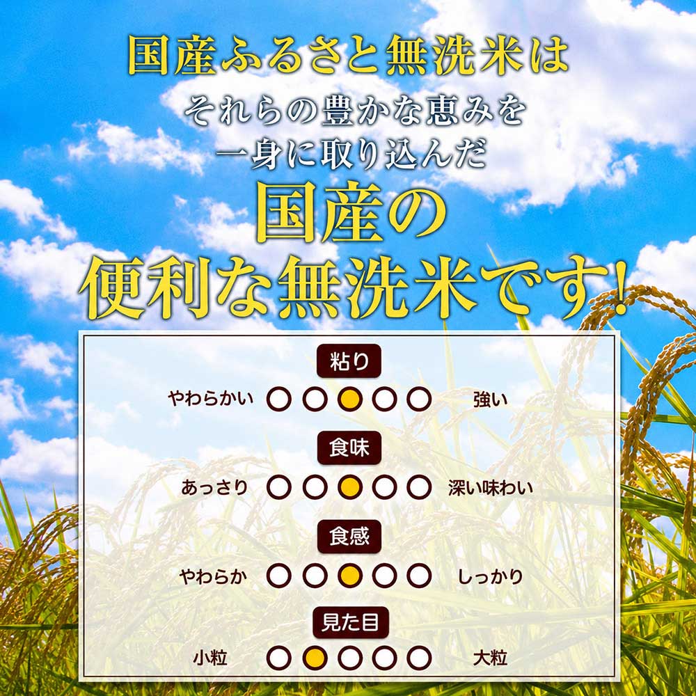 【★最短翌日発送！！★】令和7年産 米 国産 ブレンド ふるさと 無洗米 5kg 精米 国産ふるさと無洗米 非常食 保存食 こめ コメ kome ご当地風土 熊本 1-3営業日以内に出荷予定(土日祝除く)
