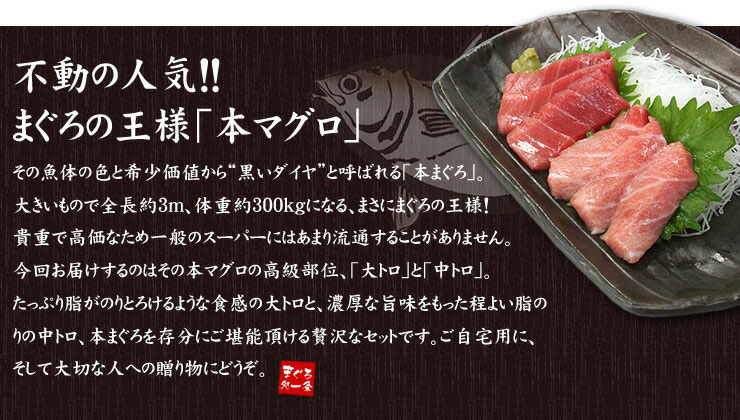 本マグロ 大トロ 中トロ 350g セット 解凍レシピ付 [大中セット]
