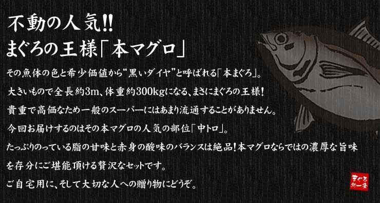 本マグロ 極上中トロ 300g 解凍レシピ付 [中トロ300]