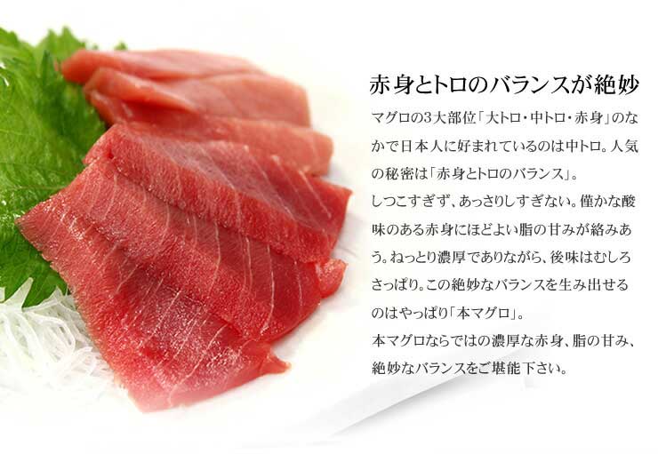 本マグロ 極上中トロ 1kg 解凍レシピ付 1サクずつ真空包装 [本鮪中トロセット1kg]