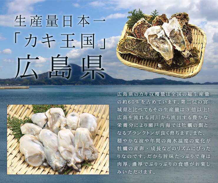 広島産 カキ 2kg（NET1700g） 加熱用 [牡蠣1kg-2p]