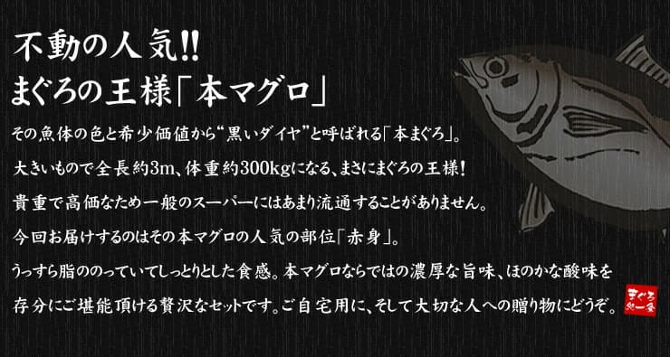 本マグロ 赤身 300g 解凍レシピ付 可食部100％ [赤身300g]
