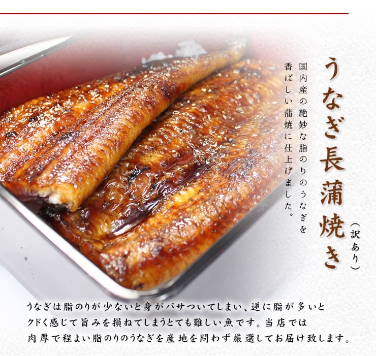 訳あり 国産 うなぎ 長蒲焼き(160g～170g)×2尾セット タレ・山椒つき [ウナギ長蒲焼き-2p]