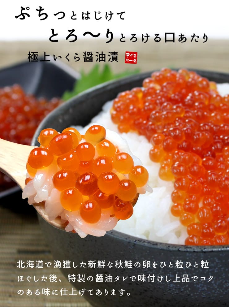北海道産 いくら醤油漬け 500g [鮭イクラ500g]
