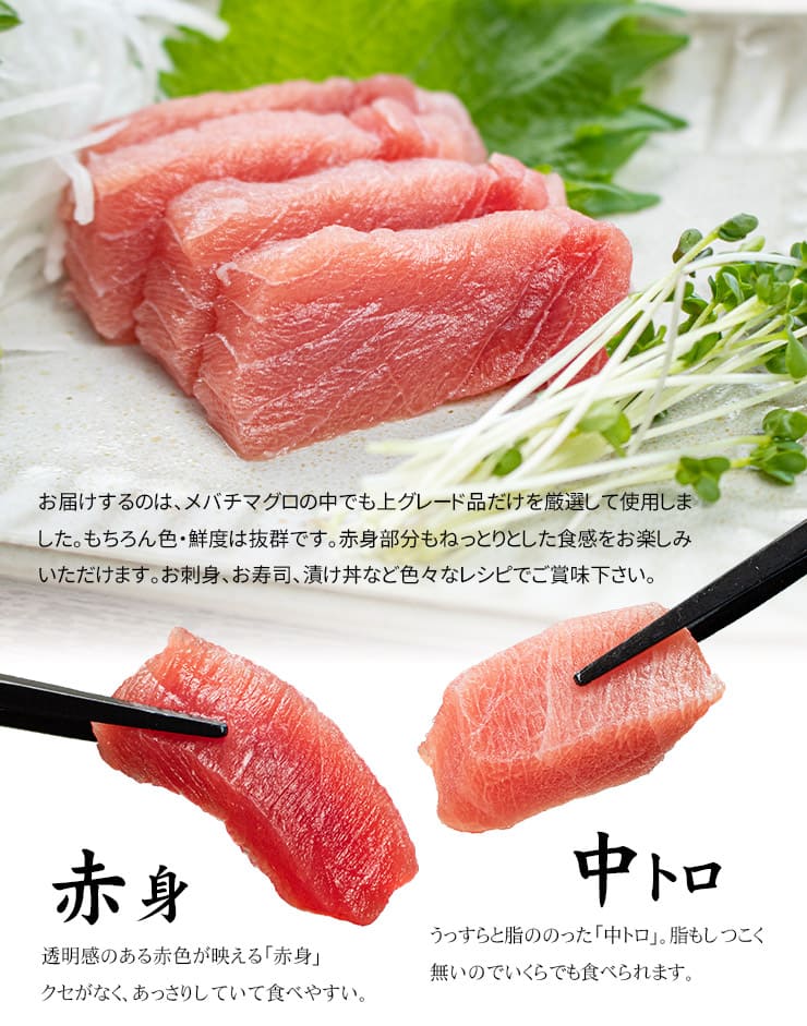 訳あり 天然マグロ トロ＆赤身セット 700g 解凍レシピ付 [バチ中赤700g]