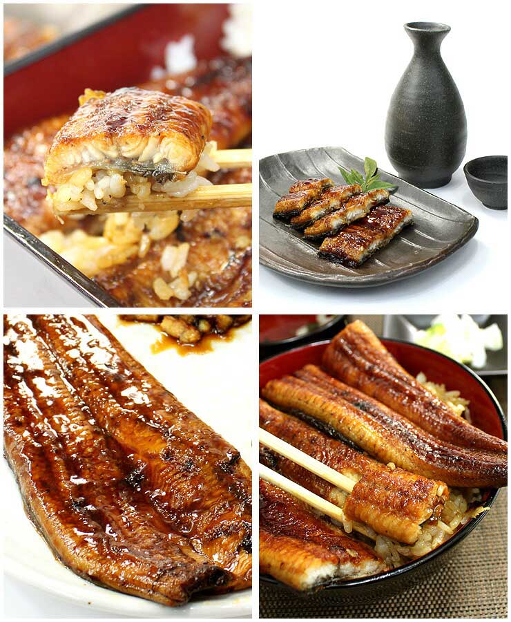 訳あり 国産 うなぎ 長蒲焼き 500g 身が崩れたりサイズが不均一の訳あり品 [訳ありウナギ蒲焼き500g]