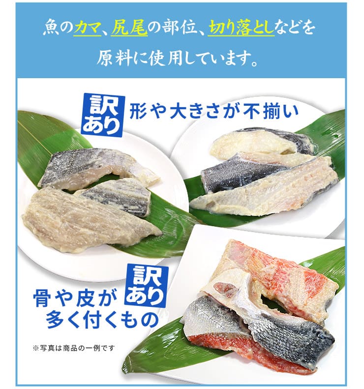 訳あり さわら 西京漬け 1kg (500g×2パック) [訳ありサワラ西京漬500g-2p]超速（ちょうそく）発送 1-3営業日以内に発送予定 土日祝除く