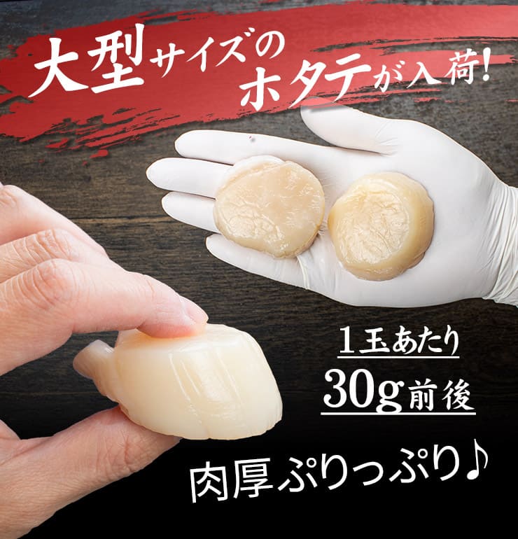 北海道産 生ホタテ 貝柱 1kg 特大サイズ [特大ホタテ1kg]