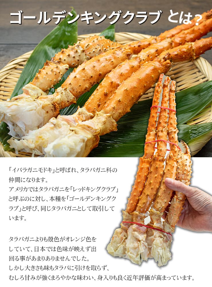 ゴールデンキングクラブ 800g ボイル済み 1肩 [ゴールデンキングクラブ800g]超速（ちょうそく）発送 1-3営業日以内に発送予定 土日祝除く