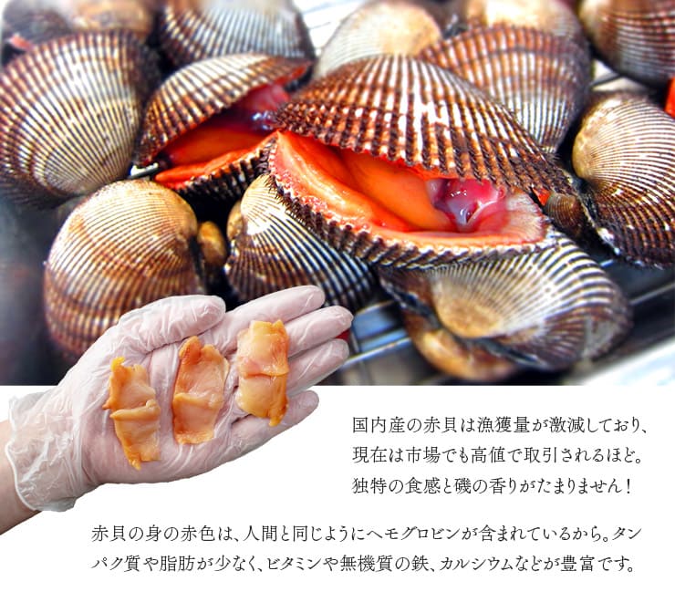 赤貝開き 10枚入 お刺身用 中国産 [赤貝開き10枚]