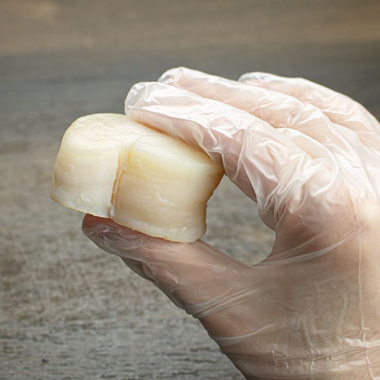 平貝 貝柱 500g 8～10玉 中国産 お刺身用 [平貝500g]