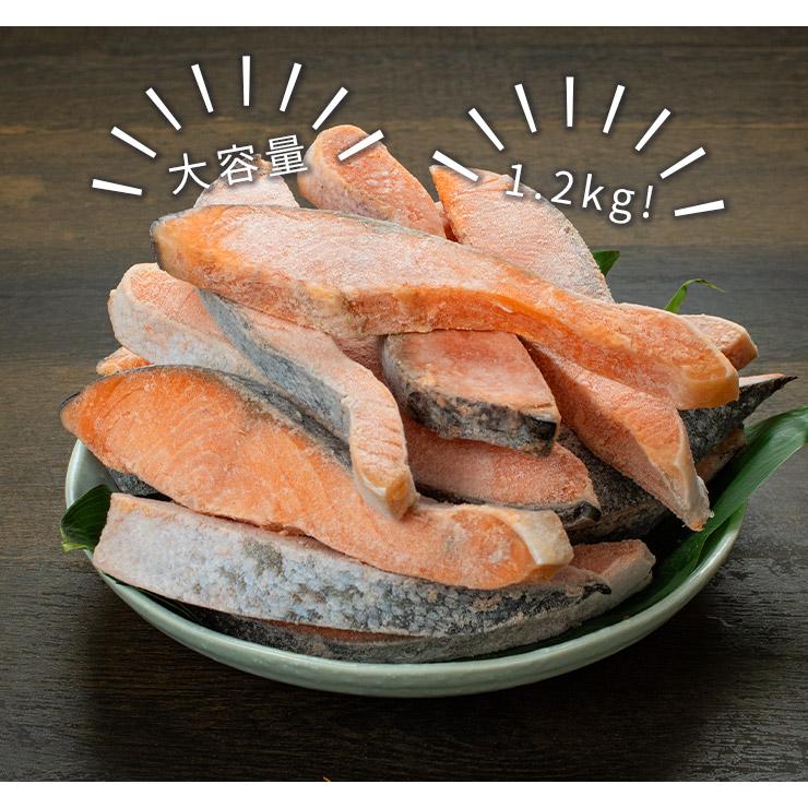 訳あり 銀鮭切り身 1.2kg 無塩 加熱用 チリ産 チャック袋入り 送料無料 [[無塩_B級銀鮭切り身1.2kg]超速（ちょうそく）発送 1-3営業日以内に発送予定 土日祝除く