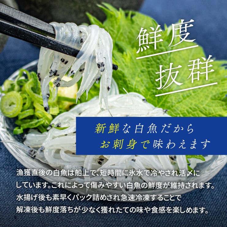 茨城県産 白魚 しらうお 200g お刺身用 [白魚200g]