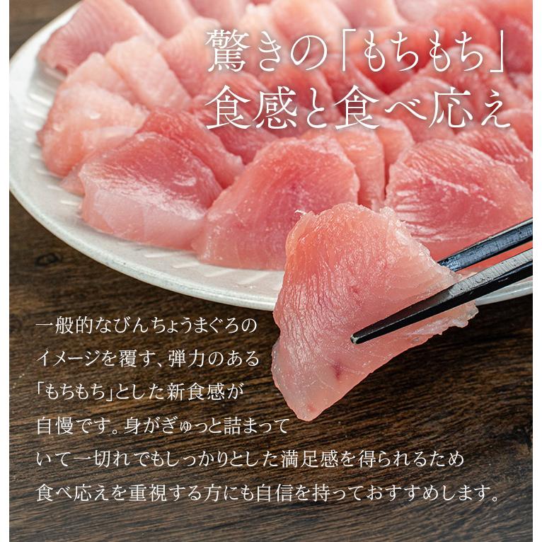 びんちょうマグロ 天身(赤身)500g(3～7ブロック入り)　筋が少なく柔らかい身、もちもちで弾力のある食感 解凍レシピ付〈bn1〉《pbt-al1》[[びんちょうマグロ天身500g]超速（ちょうそく）発送 1-3営業日以内に発送予定 土日祝除く
