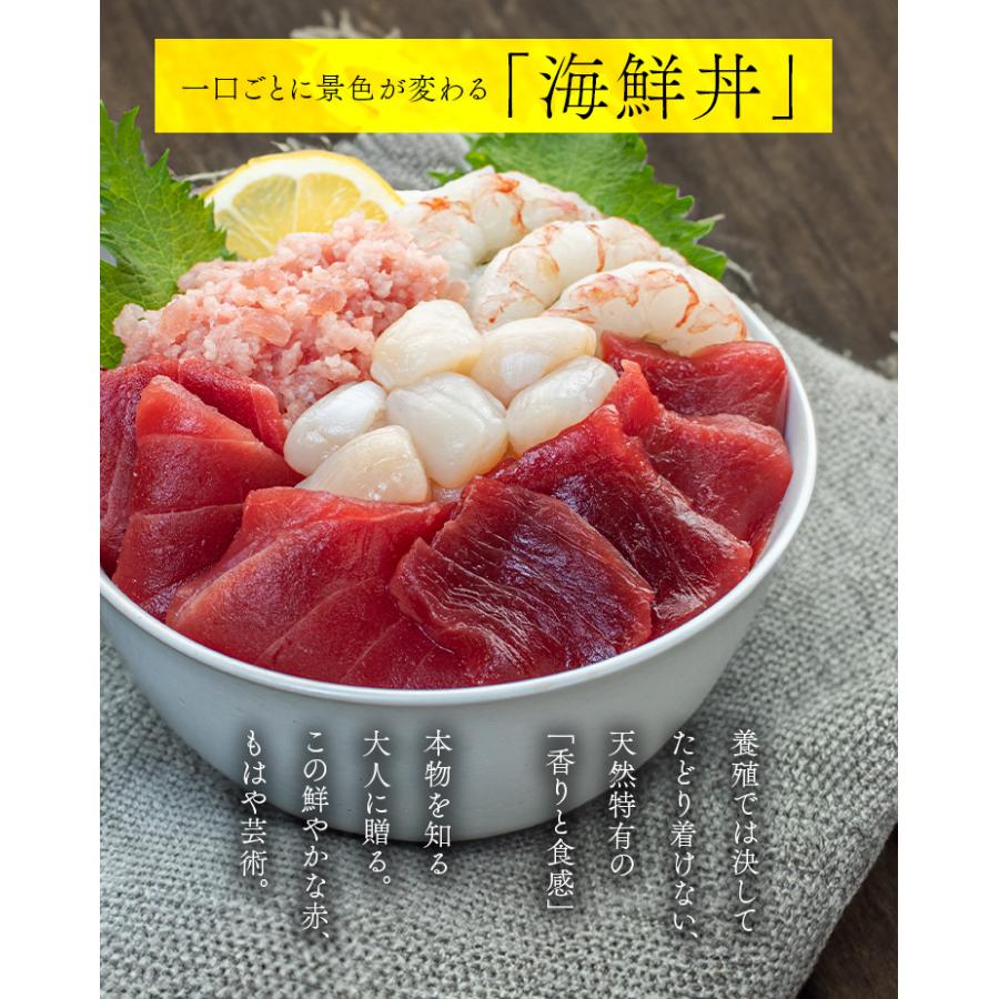 天然本マグロ＆南マグロ入り！海鮮セット「赤」海鮮5種 詰め合わせ 赤エビ 生小柱 ネギトロ 送料無料 (食べ物 父の日 敬老の日 お中元 ギフト プレゼント 刺身 セット 海鮮丼 oss)[[海鮮セット赤]超速（ちょうそく）発送 1-3営業日以内に発送予定 土日祝除く
