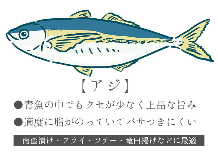アジ 骨取り切り身 30g×20切れ 加熱用 無塩 バラ凍結 チャック袋入 [アジ骨取り切り身]超速（ちょうそく）発送 1-3営業日以内に発送予定 土日祝除く