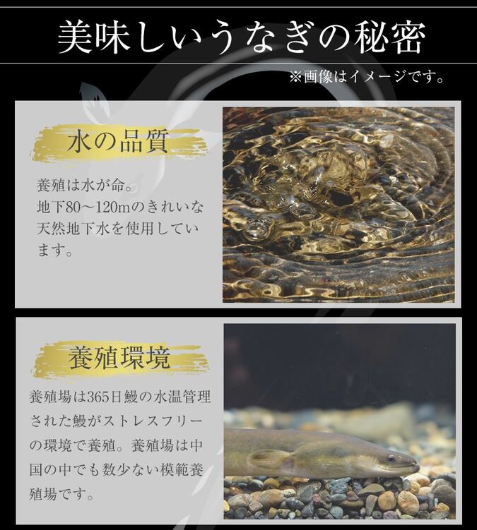 【松屋 公式】うなぎ6食 カット済み 鰻
